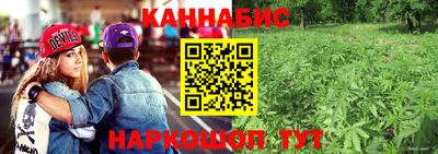 Альфа ПВП Славгород