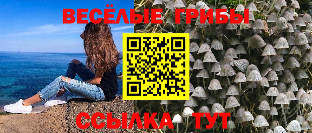 Галлюциногенные грибы мицелий Родники