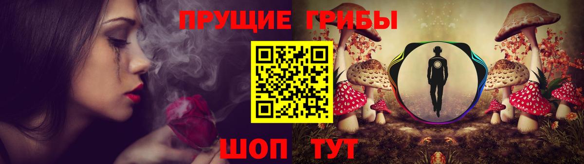 Галлюциногенные грибы Psilocybine cubensis  купить   Родники  Вход с VPN 